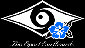/www.bicsportsurfboards.com